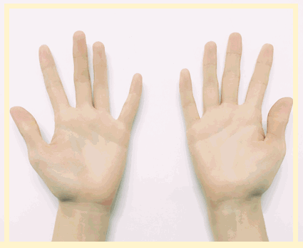 6.gif