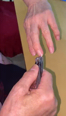 14.gif